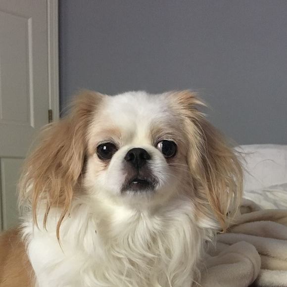 Meet your Posher, Joy - Picture 1 of 1